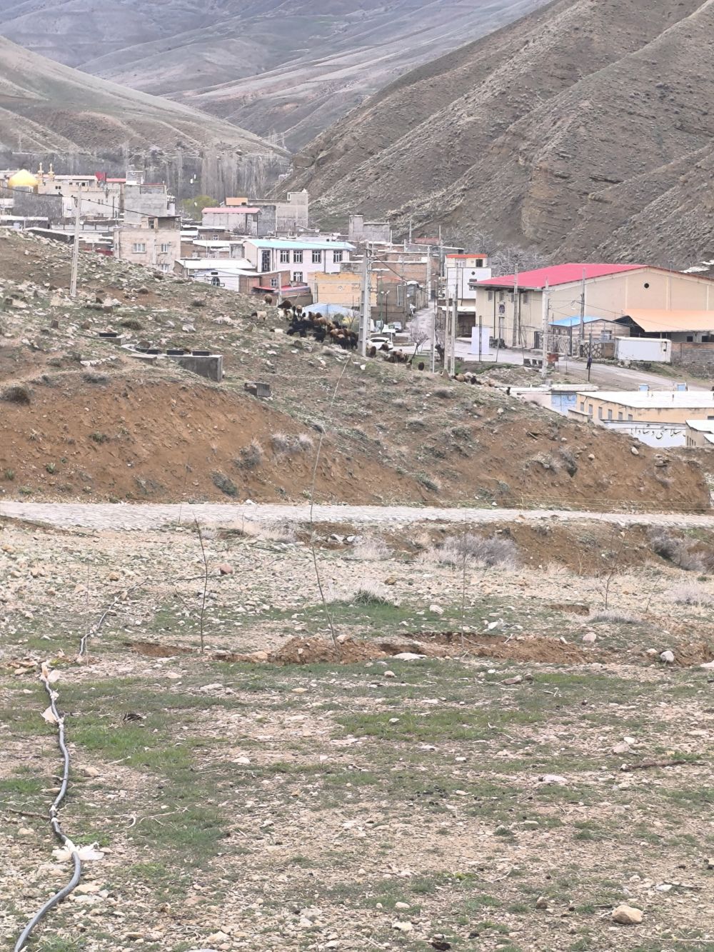 مستندات گزارش